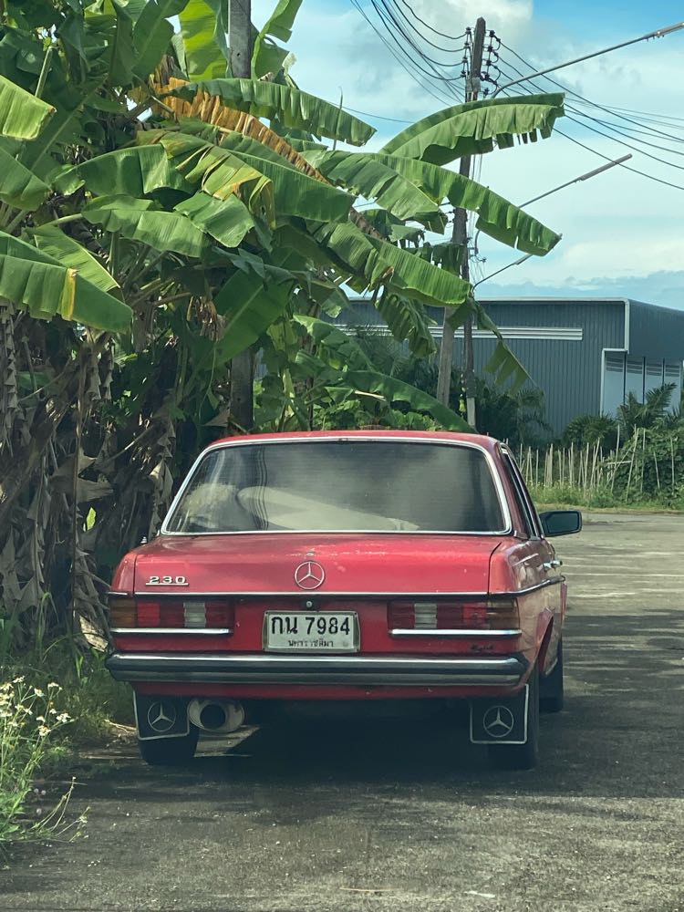 Mercedes-Benz W123 in Krabi