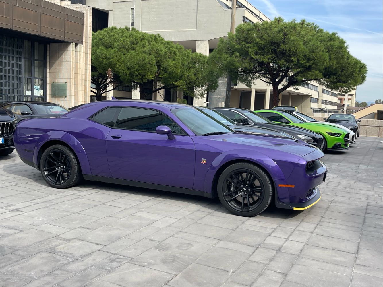 Dodge Challenger in Naples